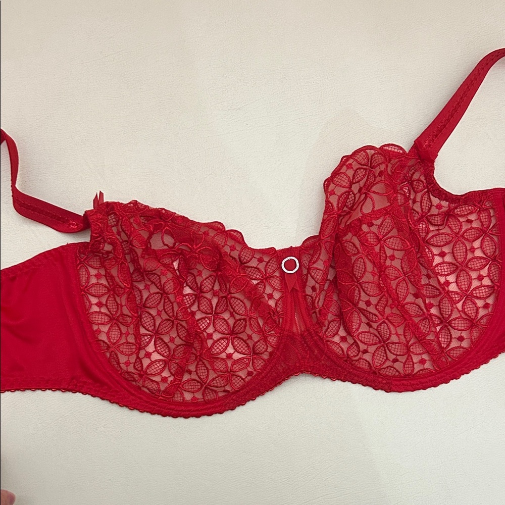 Elegant Red Lace Romy Bra